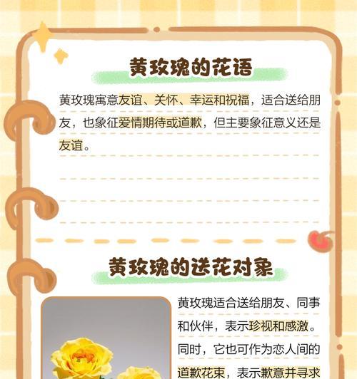 哪些花象征着爱情和友情？