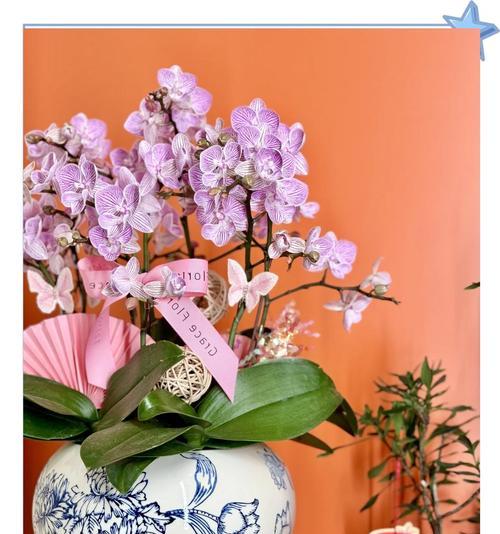 粉色花语有哪些？粉色花的香味和寓意有何关联？