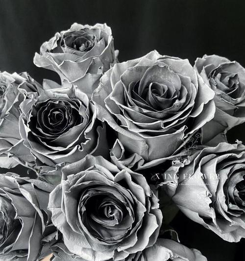 白色单花手链象征什么？手链中的花语有何深意？