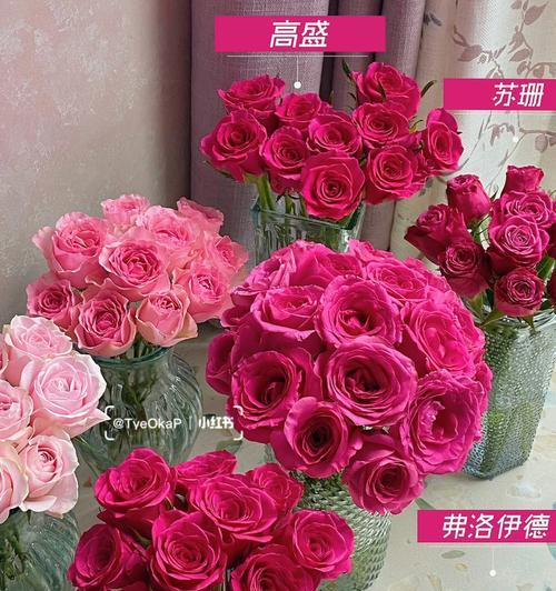 红色玫瑰花送给同事的寓意是什么？职场送花的礼仪有哪些？