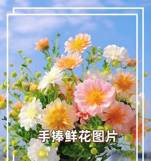 送你手捧花的意义是什么？手捧花的象征意义有哪些？