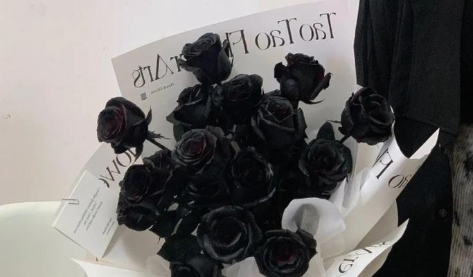 黑色玫瑰花象征什么？黑色玫瑰的花语是什么？