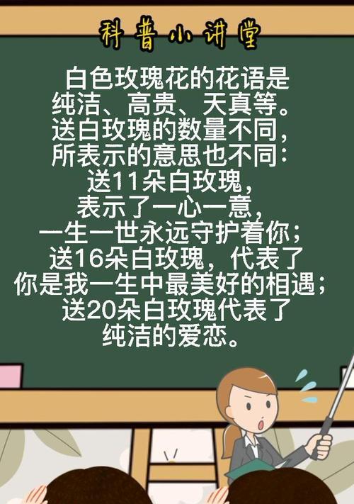 白色玫瑰代表什么？白色玫瑰的花语是什么？