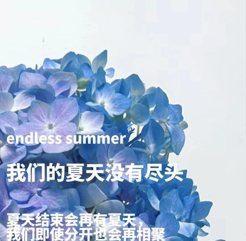 古风浪漫花语有哪些？它们代表了什么？