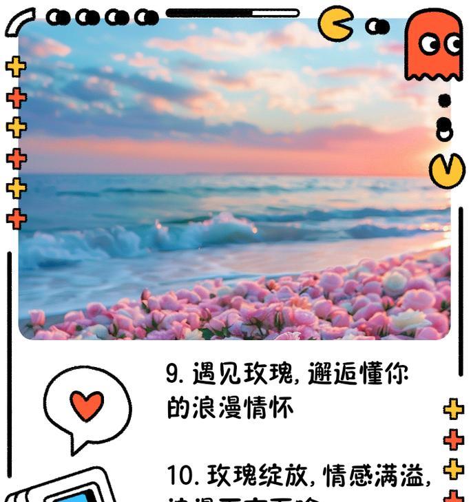 如何用花的寓意表达浪漫情感？