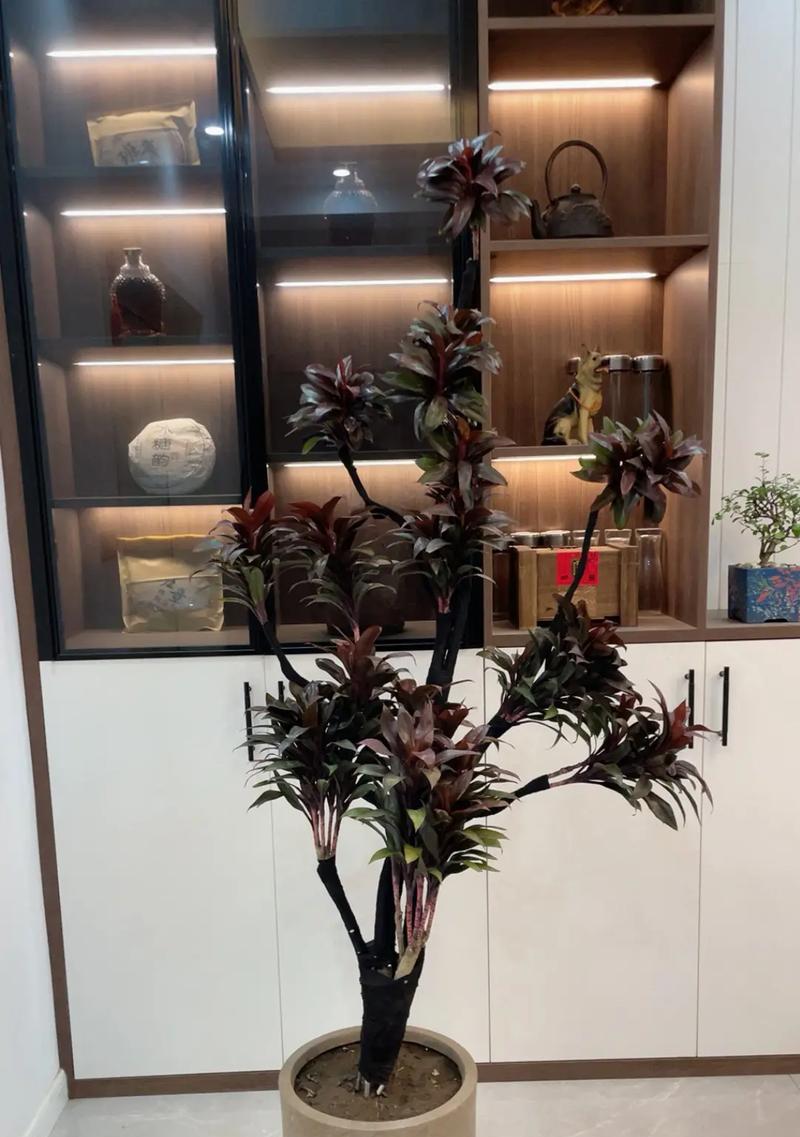 哪种花代表步步高升？步步高升的花语是什么？