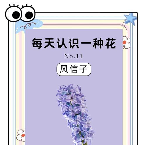 春节适合什么样的花语？春节的花语有哪些？