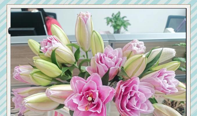 粉色百合花的意义和象征是什么？代表什么？
