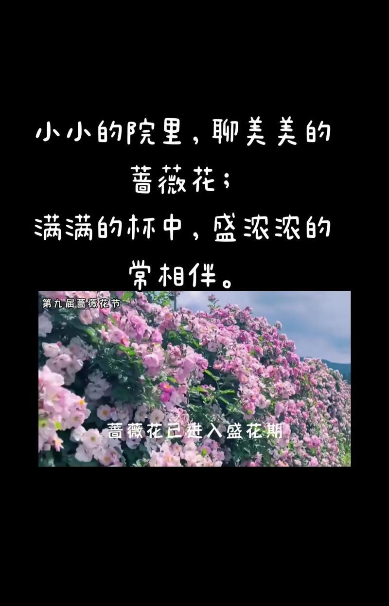 哪种花寓意爱情美满？爱情美满的花语有哪些？