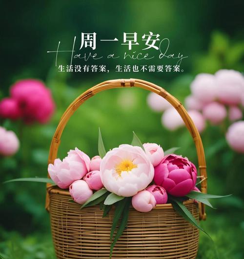 哪种花寓意学业步步高升？学业花的吉祥含义是什么？