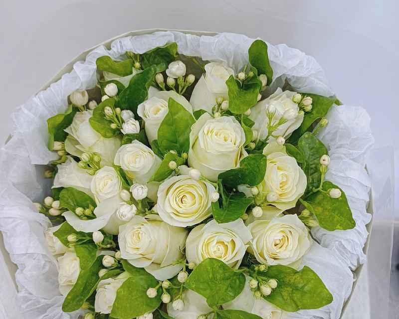 洁白的花象征什么？真挚无瑕爱情的象征是什么？