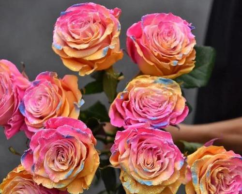 染色玫瑰花的不同颜色代表什么？
