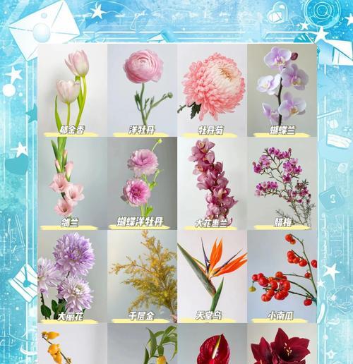 寓意步步高升的时花有哪些？它们各自代表什么？