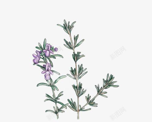 巧匠生成的富贵花有什么含义？