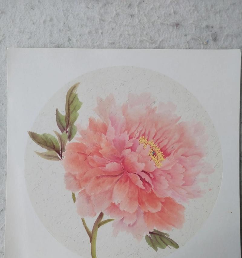 哪种花象征着富贵？花开富贵的花有哪些？
