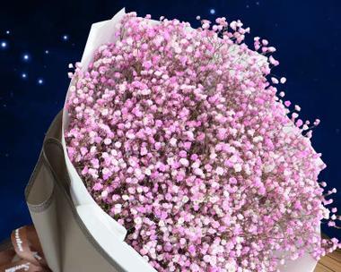 粉色手捧花的寓意是什么？适合哪些场合使用？