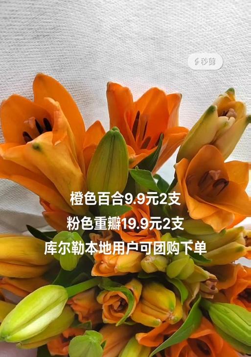 四朵橙色百合花代表什么？它们的寓意是什么？
