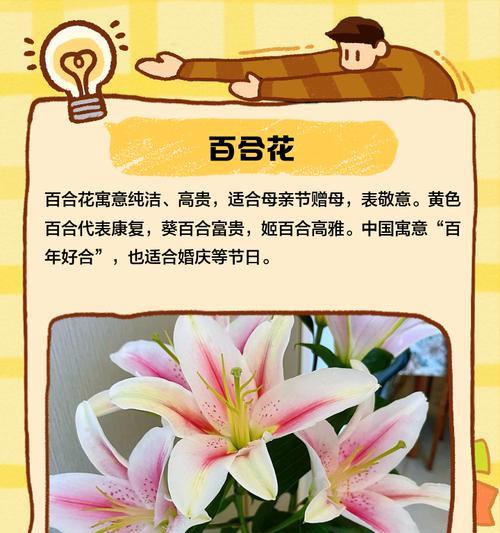 母亲节送花有哪些寓意和象征意义？