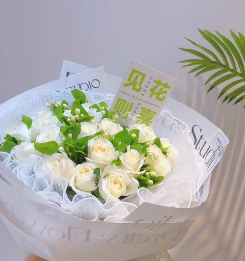 白色茉莉花代表什么意义？送茉莉花的寓意是什么？
