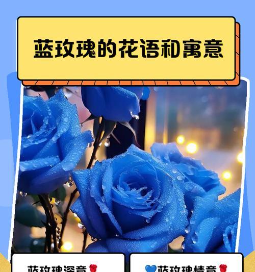 手工彩色玫瑰花有何寓意？它们的花语是什么？