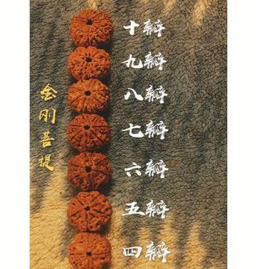 菩提染色象征哪种花？菩提染色花的寓意是什么？