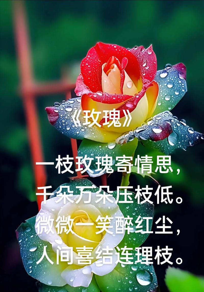 哪种花最象征爱情？爱情的花语有哪些？