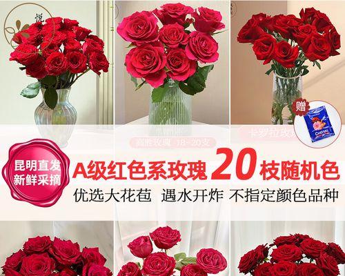 情人节送什么花显得有品位？