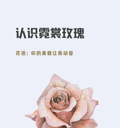 复色玫瑰花代表什么？复色玫瑰花的象征意义是什么？