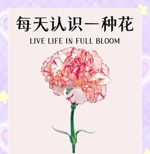九节花的花语是什么？它在不同文化中的含义有何不同？
