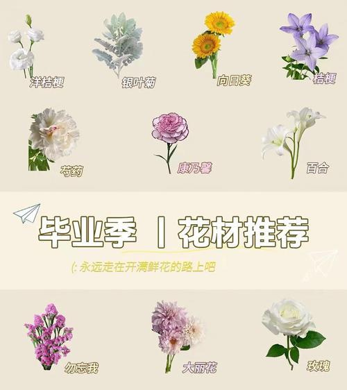 太阳花对毕业生的寓意是什么？如何表达祝福？