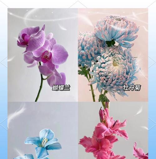 哪些花寓意家庭美满？