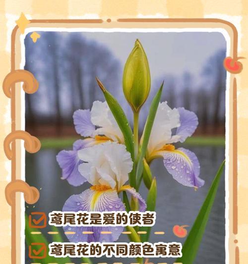 春天哪些花象征爱情？春季寓意爱情的花卉有哪些？