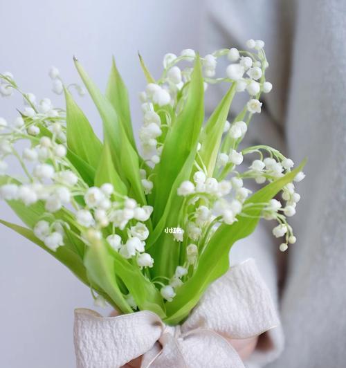 手捧花通常有哪些花语？它们象征着什么意义？