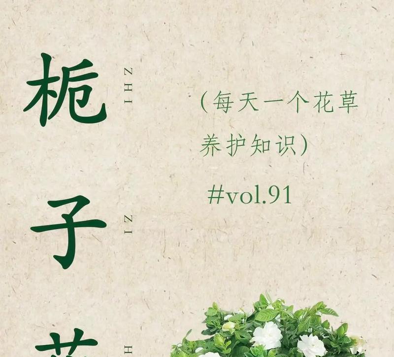 栀子花手捧花有何特殊含义？选择栀子花作为手捧花的理由是什么？