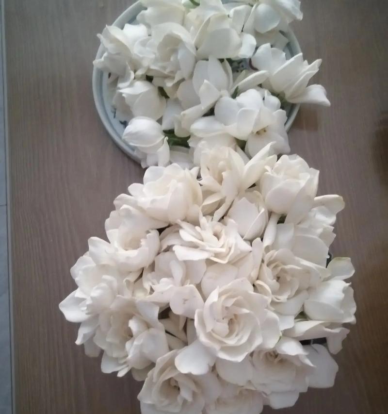 栀子花手捧花有何特殊含义？选择栀子花作为手捧花的理由是什么？