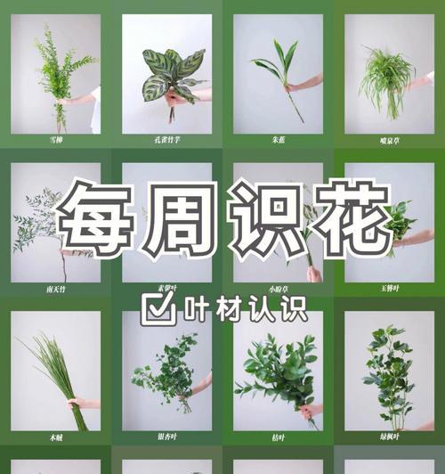 哪些花材组合象征富贵平安？富贵平安的花材组合有哪些？