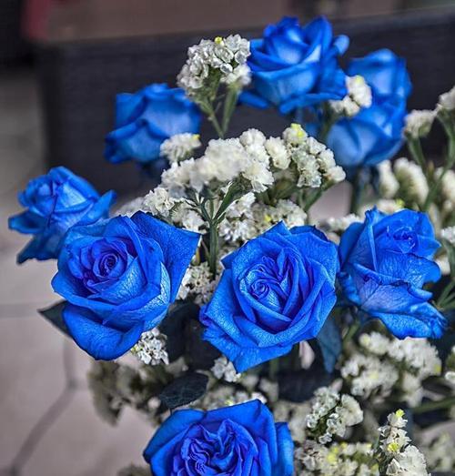 52支蓝色花代表什么？它们的花语是什么？