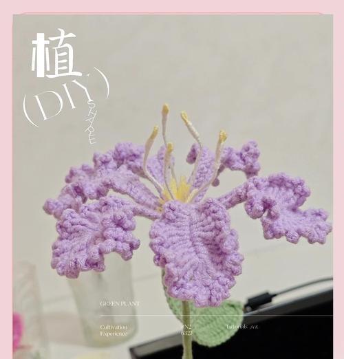 哪种花寓意变好运？好运花的种类和含义是什么？