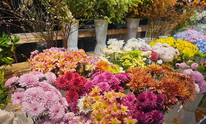 黄色的年宵花寓意是什么？年宵节选择黄色花卉的含义？