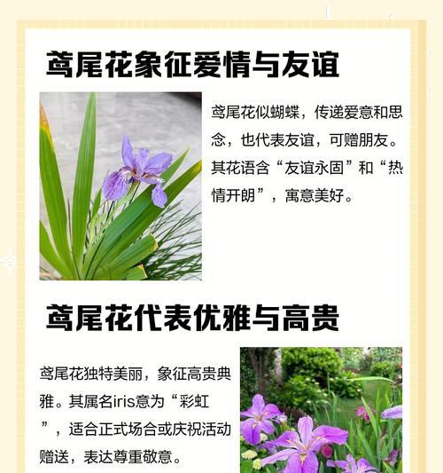 哪些花象征爱情？爱情的花语有哪些？