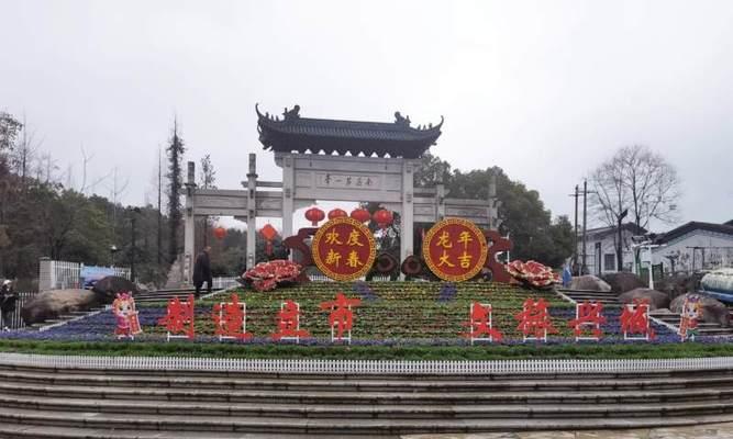 春节单位摆花有哪些好的寓意？