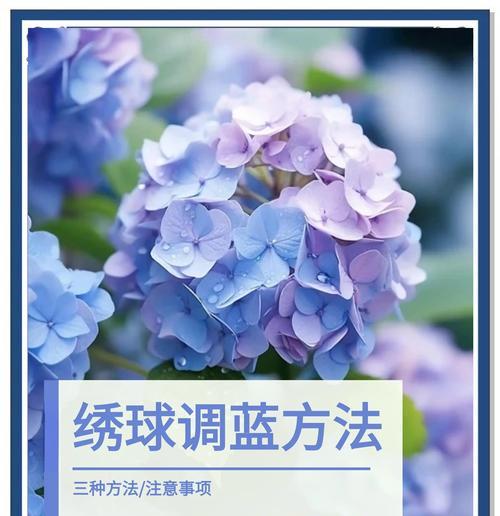 蓝色花戴头上有什么特别含义？