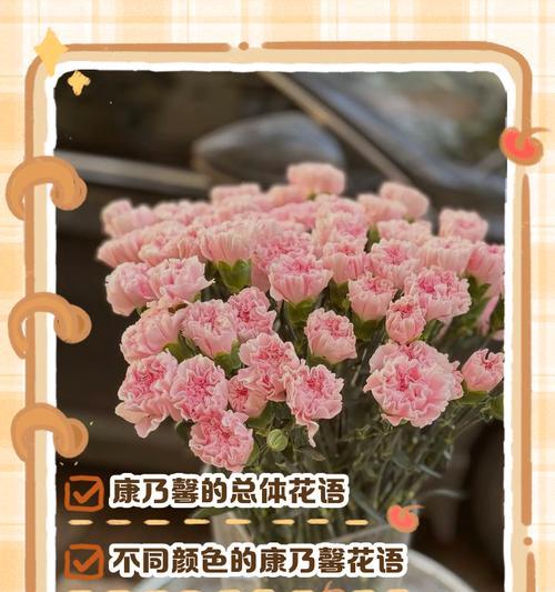 隐蔽的爱情花语有哪些？
