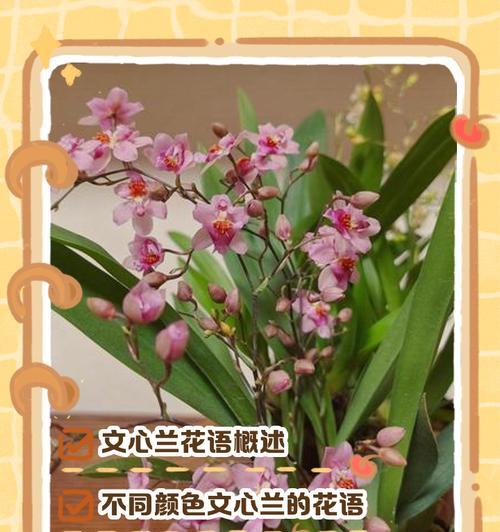 隐蔽的爱情花语有哪些？