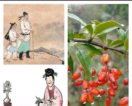 头上插吉祥花代表什么？它的寓意是什么？