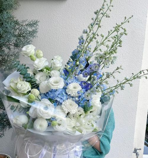 蓝白色绣球花代表什么？它们在花语中有什么特别含义？