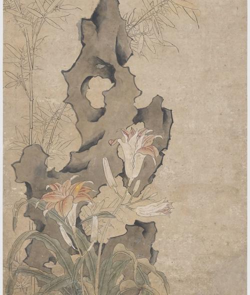 萱草花象征着什么？文化中有哪些寓意？