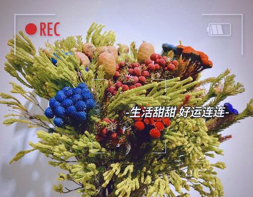 浪漫花语南具体指什么？