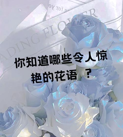 浪漫花语南具体指什么？