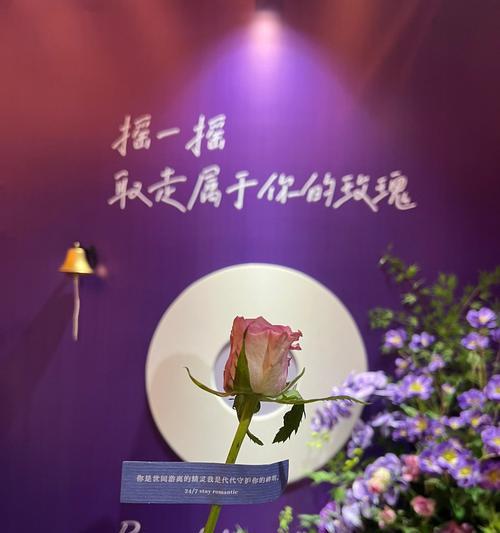 十六朵紫色玫瑰代表什么？花语有哪些含义？
